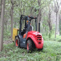 WECAN 3000KG 4X4 all rough terrain forklift for sale